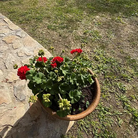 Fourwinds Nyaraló